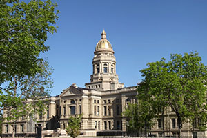 Wyoming business formation