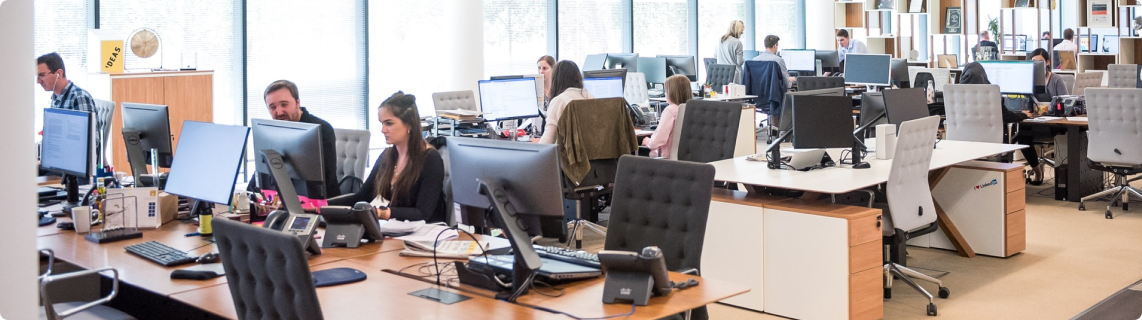 A busy office depicts employees working at their computers.